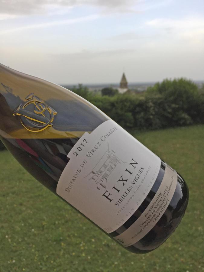 Les Hauts De Fixin, 50M2 Avec Exterieur Sur La Route Des Grands Crus, Dijon Sud מראה חיצוני תמונה