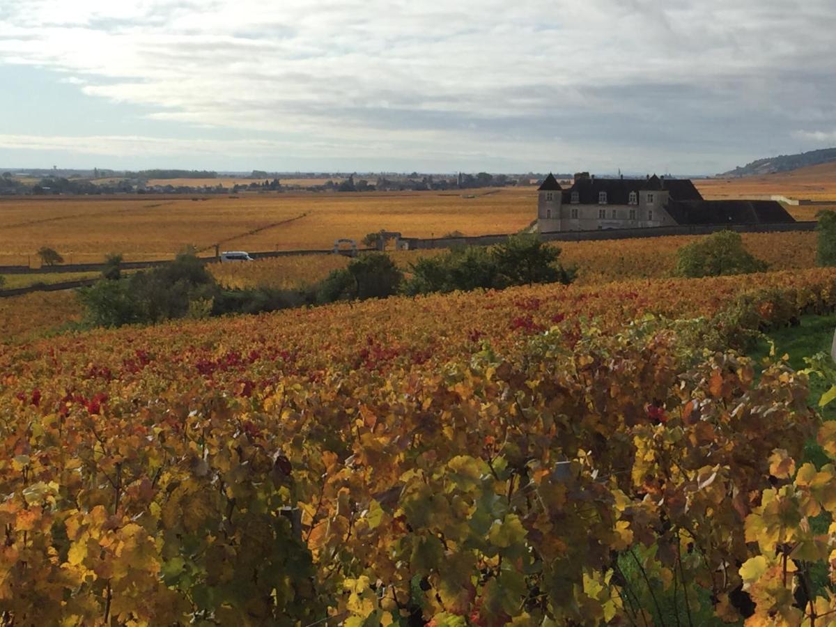 Les Hauts De Fixin, 50M2 Avec Exterieur Sur La Route Des Grands Crus, Dijon Sud מראה חיצוני תמונה